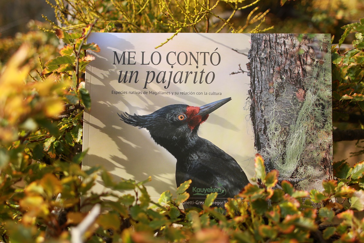 Asociación Kauyeken presenta libro sobre la relación  entre especies nativas de Magallanes y la cultura