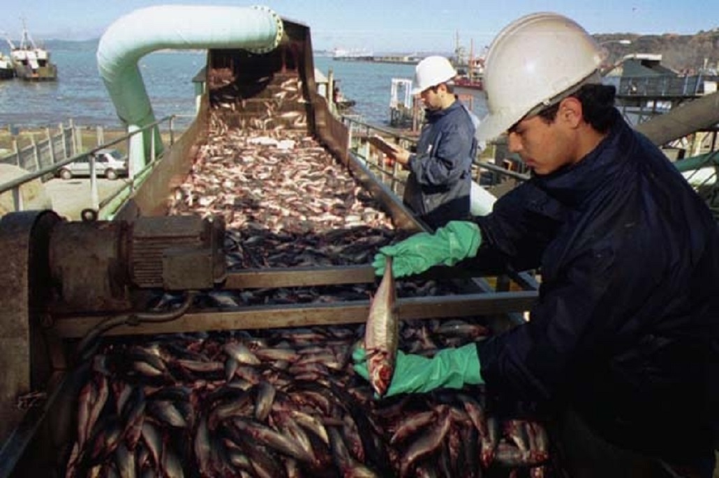 Se incrementó en un 24.8% el desembarque de productos del mar en Magallanes durante febrero