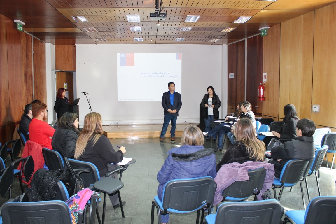 Se constituye Mesa Intersectorial para enfrentar el incremento de los suicidios en la región de Magallanes