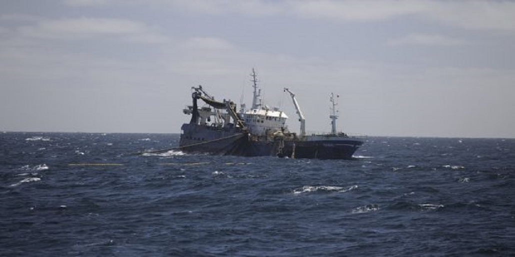 Se inició debate público sobre reformas a la Ley General de Pesca