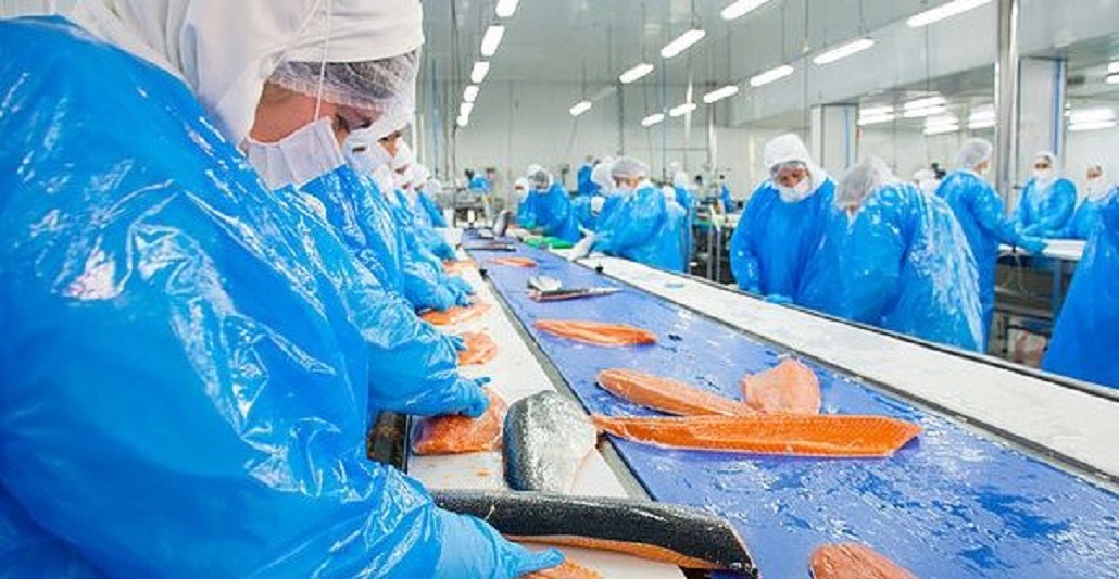 Sindicato de Trabajadores y empresa Salmones Austral concluyen exitosamente negociación colectiva