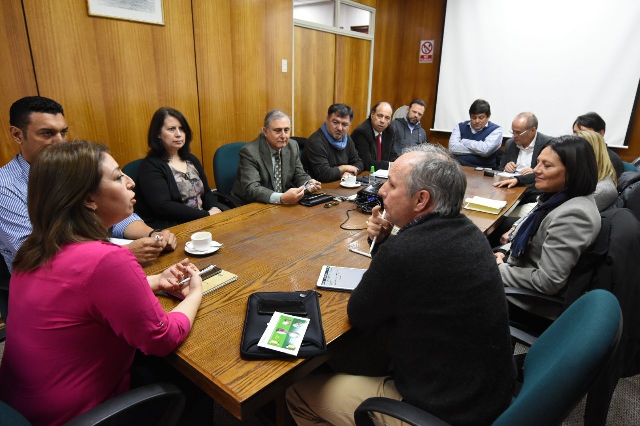 Sindicato de Profesionales de ENAP Magallanes se reúne con el Gobierno Corporativo de la estatal