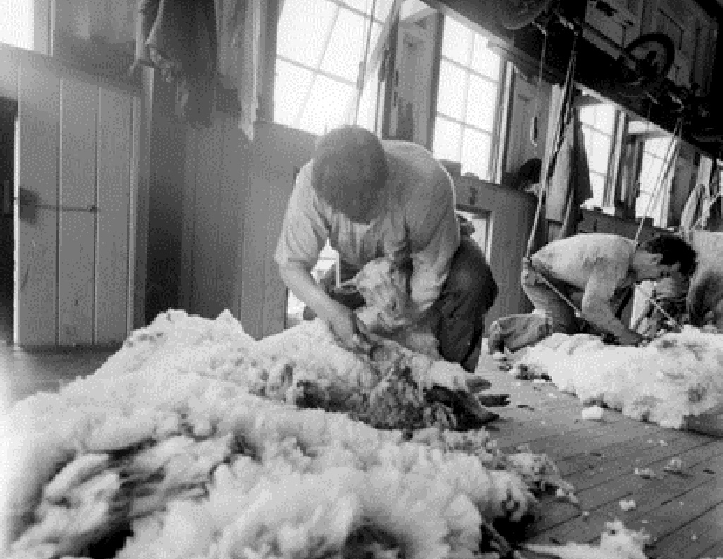 Organizan primera Escuela de Invierno para trabajadores de la ganadería magallánica