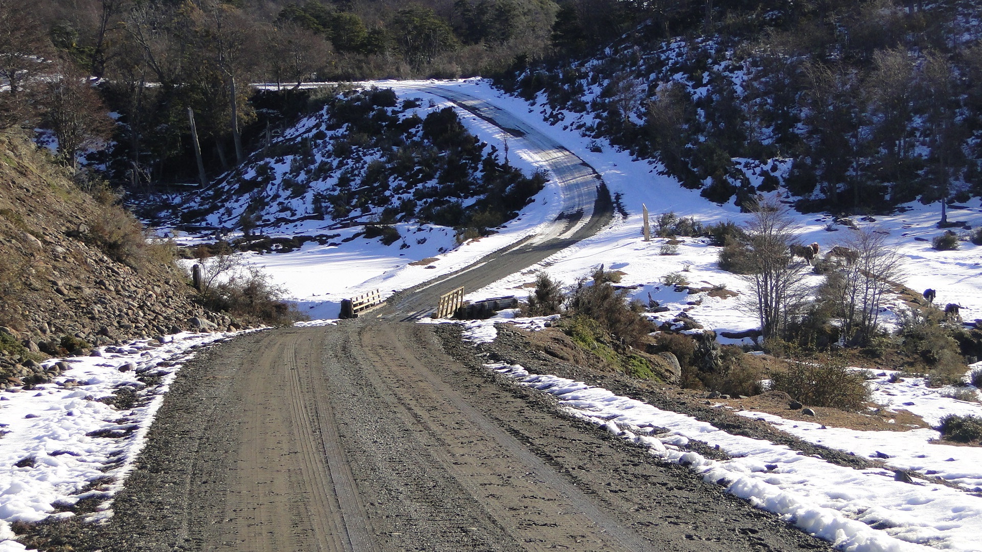 Gran parte de las rutas de la región de Magallanes presentan escarcha y agua nieve