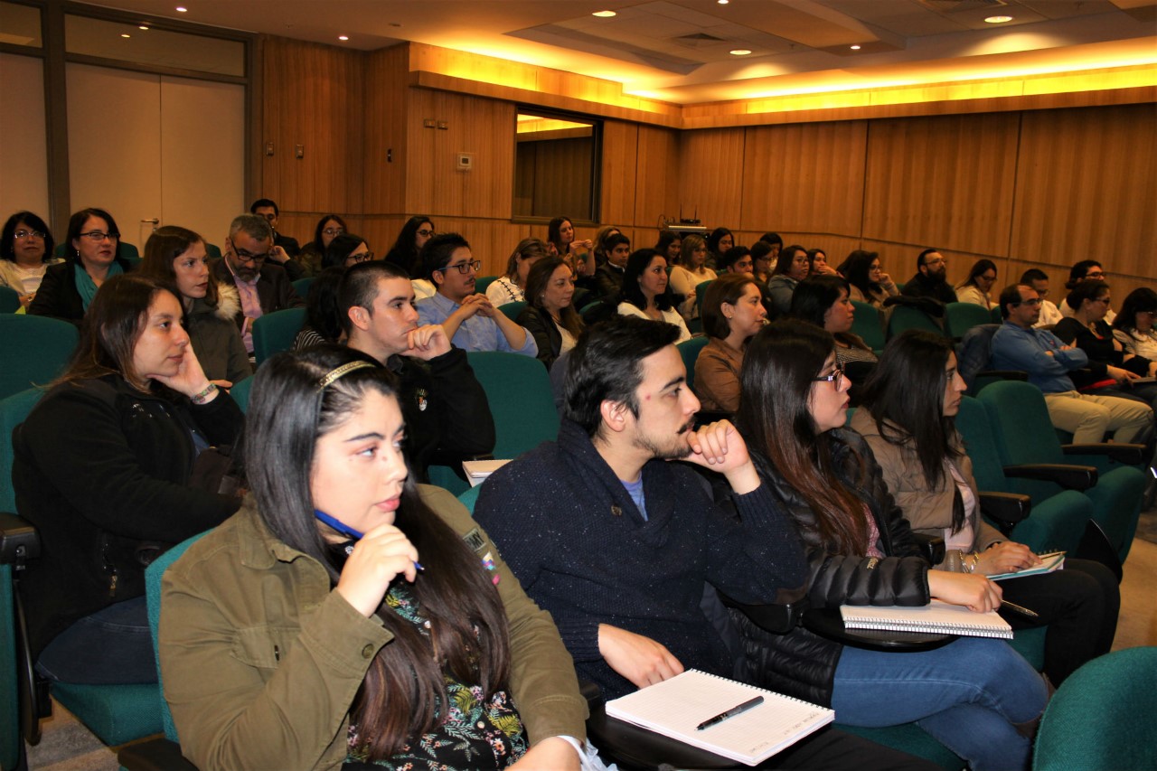 Red Infanto Adolescente de Magallanes se capacita para mejor atención de sus usuarios