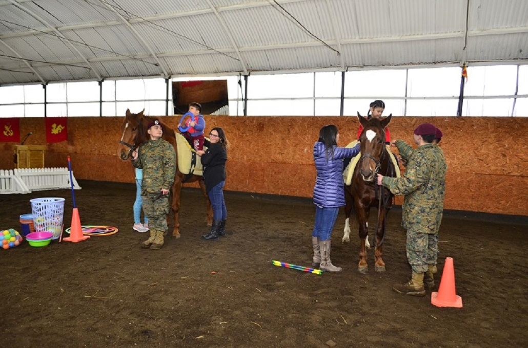 Actividades de equinoterapia efectuarán el Ejército y el municipio de Punta Arenas