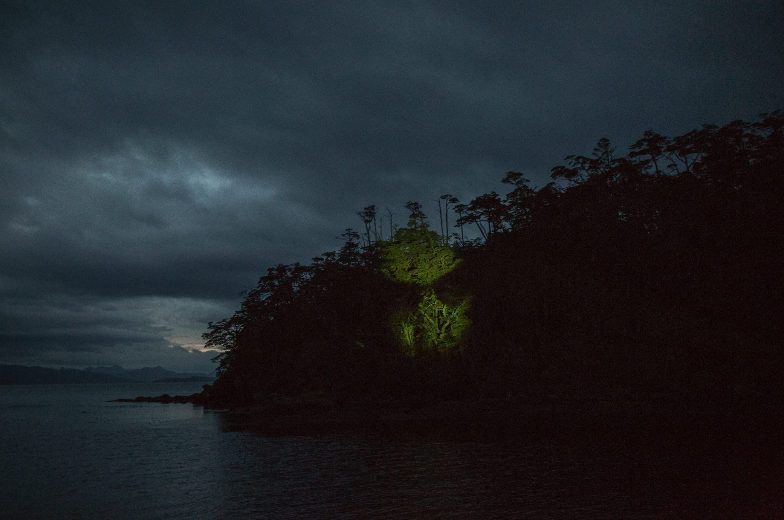 Micro residencia Radicante: Una travesía de artistas por el Estrecho de Magallanes