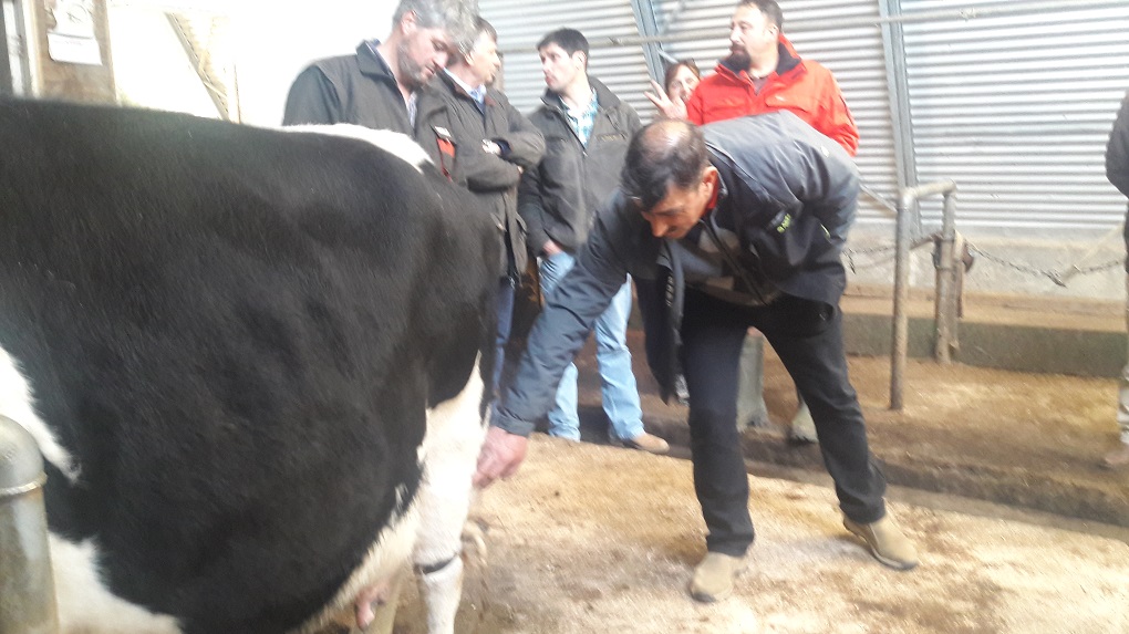 Pequeños lecheros de Magallanes reciben apoyo y capacitación en Punta Arenas