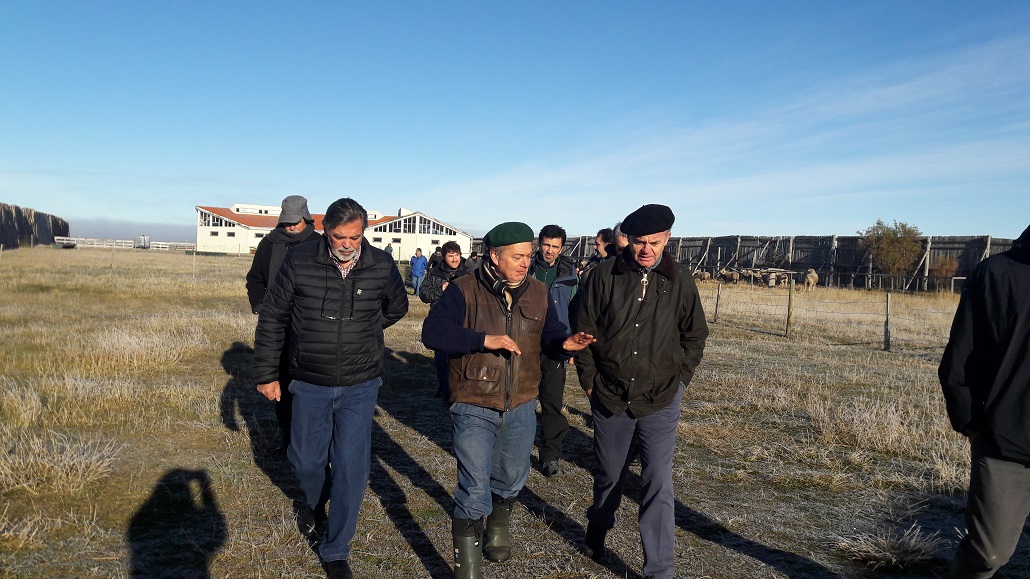 Ministro de Agricultura: «Estamos en la mejor condición porque tenemos una sanidad  animal que no la tiene otra región de Chile ni otro país de Sudamérica»