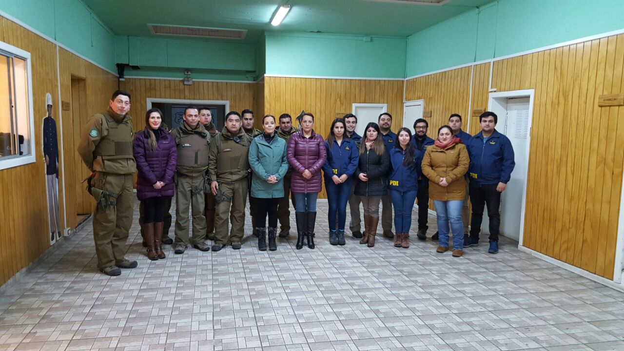 Gobernadora (s), PDI y Carabineros realizaron fiscalización a pubs y locales nocturnos