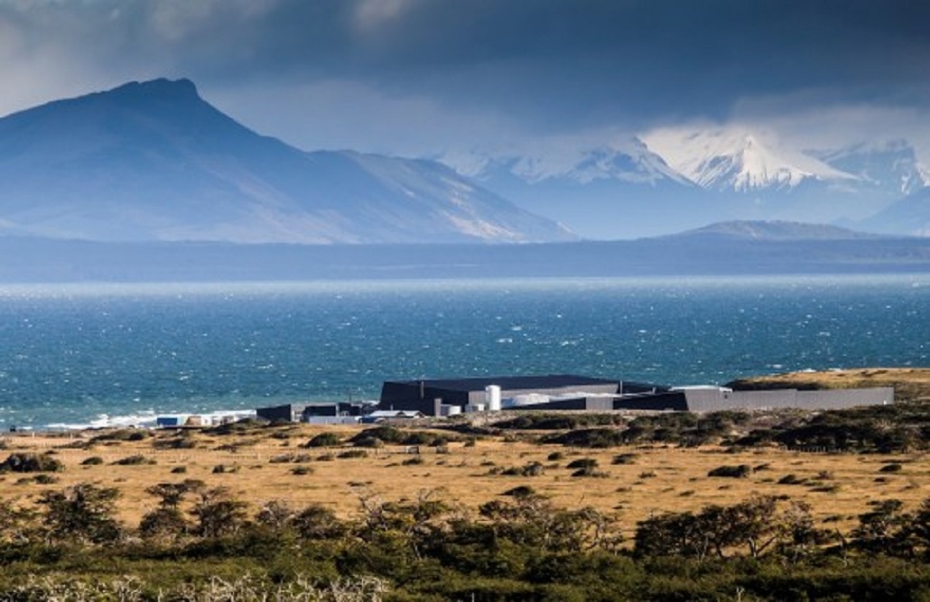 Aqua Chile compra el 100% de la empresa Salmones Magallanes