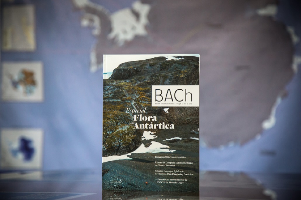 Destacan estado y potencial de la flora antártica en revista de divulgación BACh