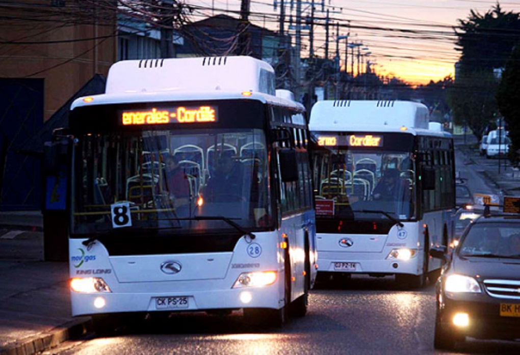 Cambios de recorrido en Buses de transporte público en Punta Arenas desde el 1º de julio