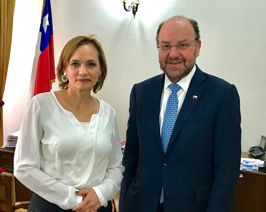 Senadora Goic pide avanzar en proyecto de un Centro para niños y niñas con problemas de salud mental