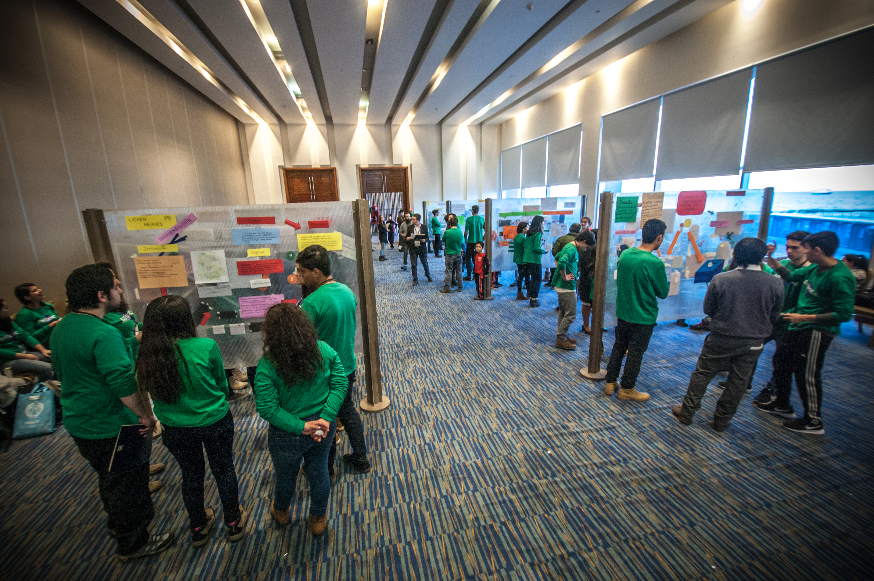 Mañana se inicia XV Feria Antártica Escolar en Punta Arenas