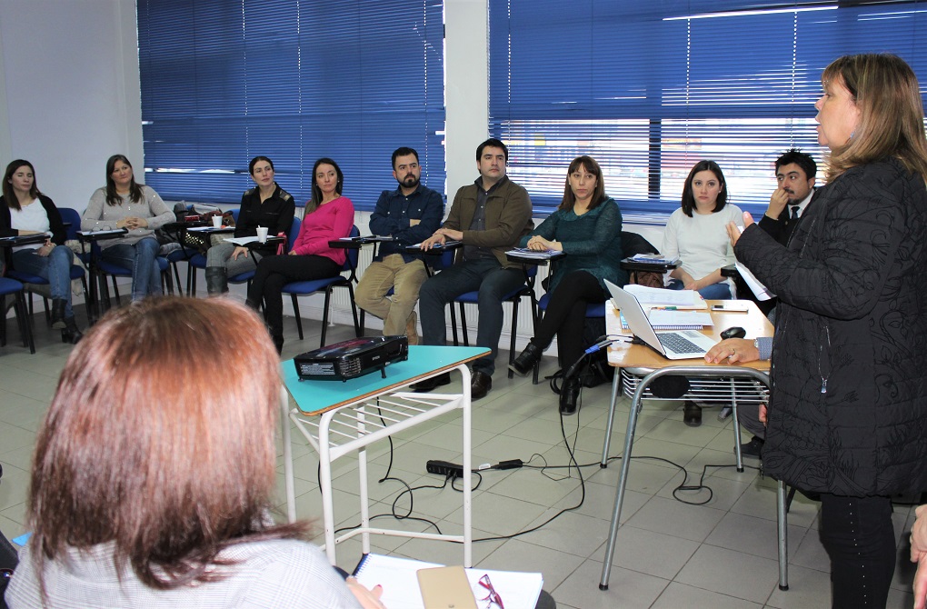 Profesionales de Atención Primaria de Punta Arenas se capacitan en Modelo de Atención Integral en Salud, MAIS