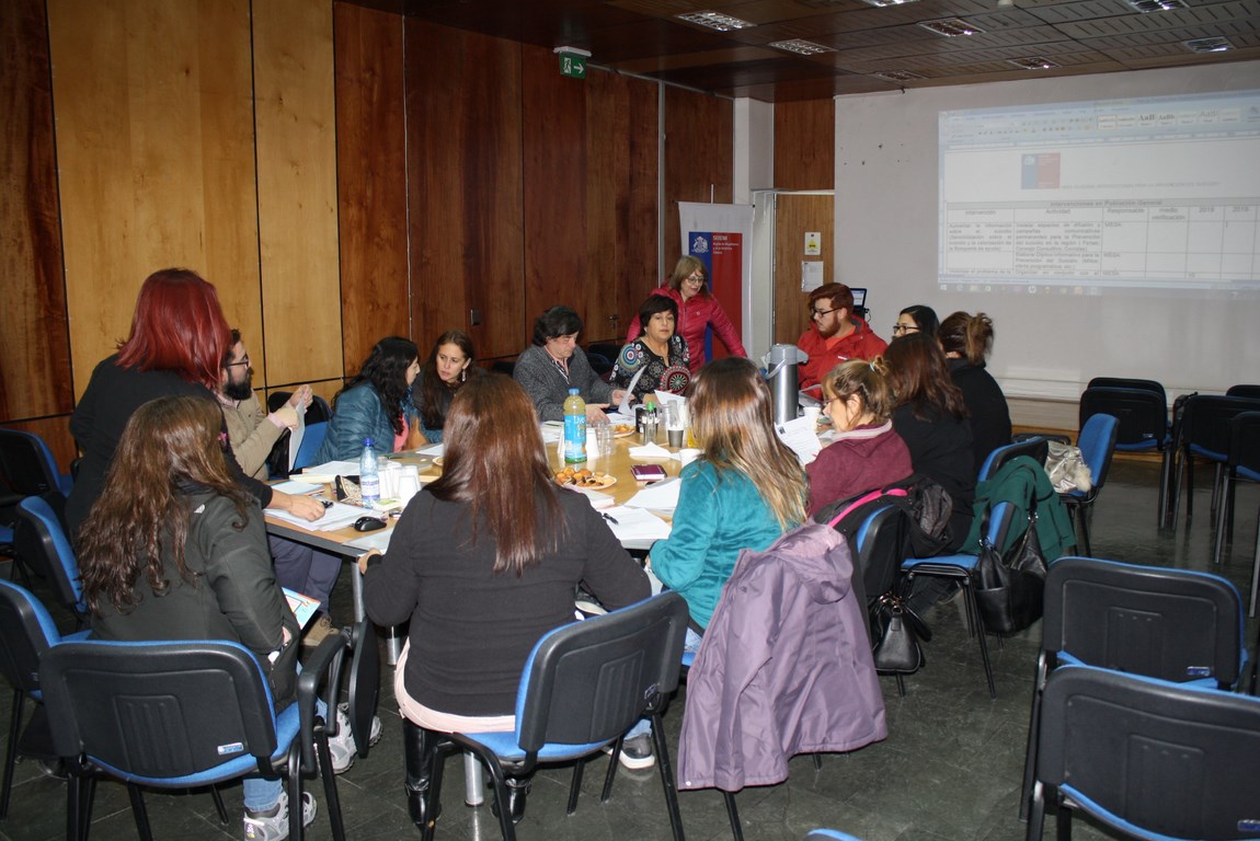 Mesa intersectorial de Salud aborda la prevención del suicidio en Magallanes