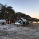 Trabajador de la empresa Russfin falleció producto de la caída de un árbol