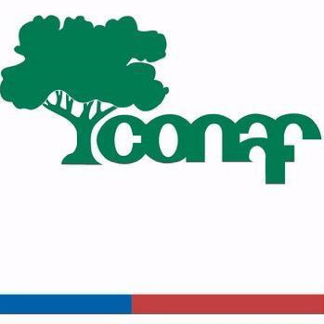Sindicatos de Trabajadores de CONAF responden a Director Nacional del servicio