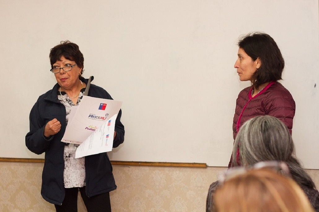 PRODEMU Magallanes  invita a concursar a mujeres emprendedoras