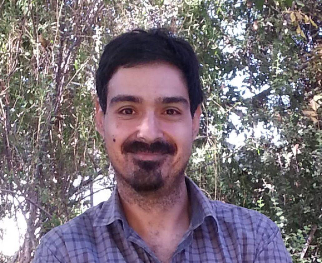 Estado de puentes: una crisis de confianza – Carlos Reiher – Opinión