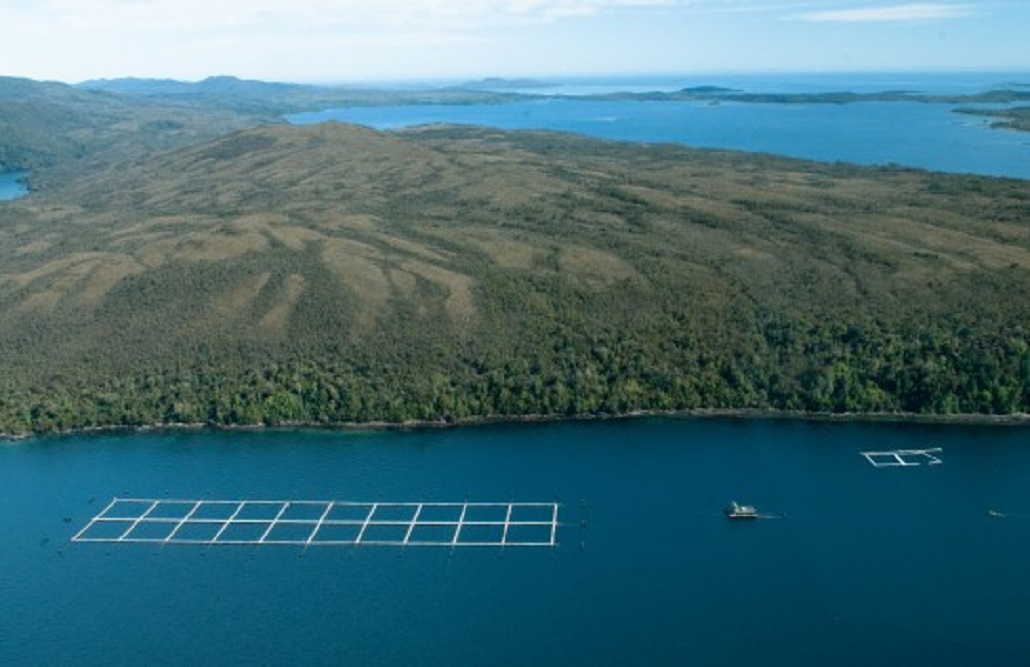 Las empresas Salmones Magallanes y Pesquera Edén fueron compradas en US$ 259 millones de dólares