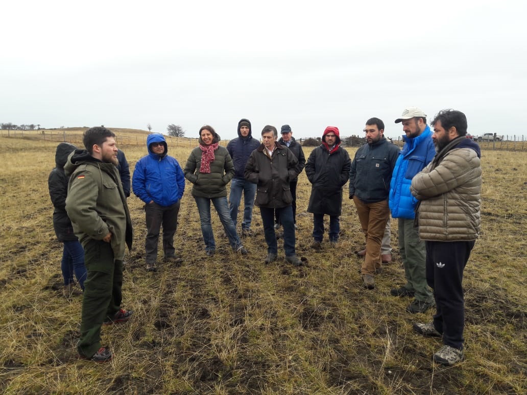 Seremi de Agricultura «estamos embarcados en un plan para recuperar la productividad de las praderas y pastizales naturales»