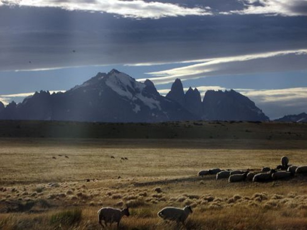 WCS publica su memoria anual con énfasis en actividades medioambientales en Magallanes