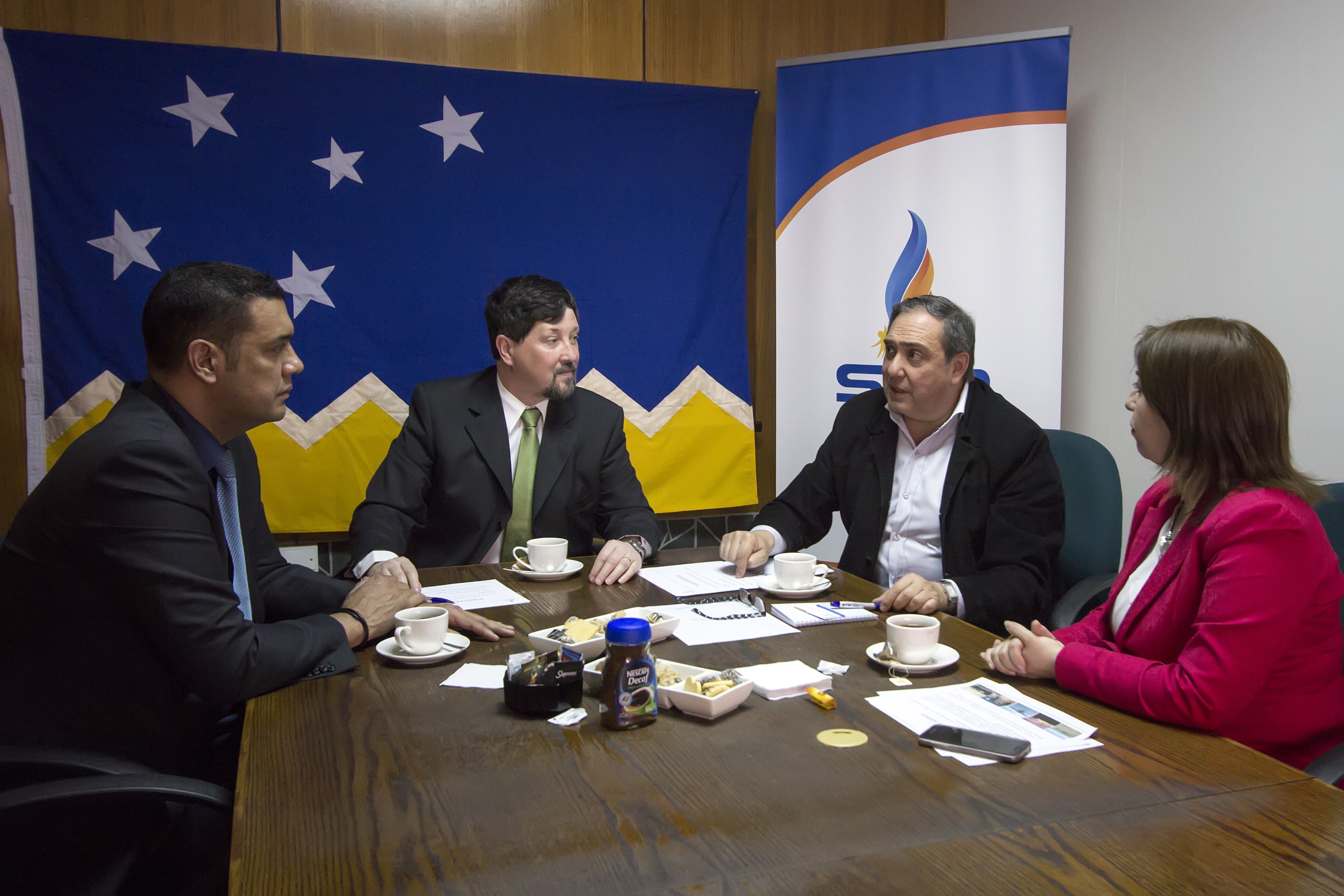 Sindicato de Profesionales expondrá ante la comisión de Energía del Senado:  Con argumentos técnicos esperan defender aporte compensatorio al gas en Magallanes