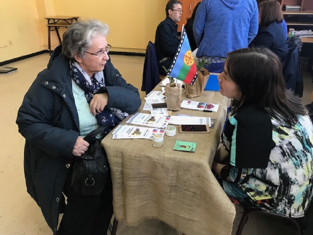 Con gran marco de público se desarrollé en Punta Arenas la Expo Adulto Mejor