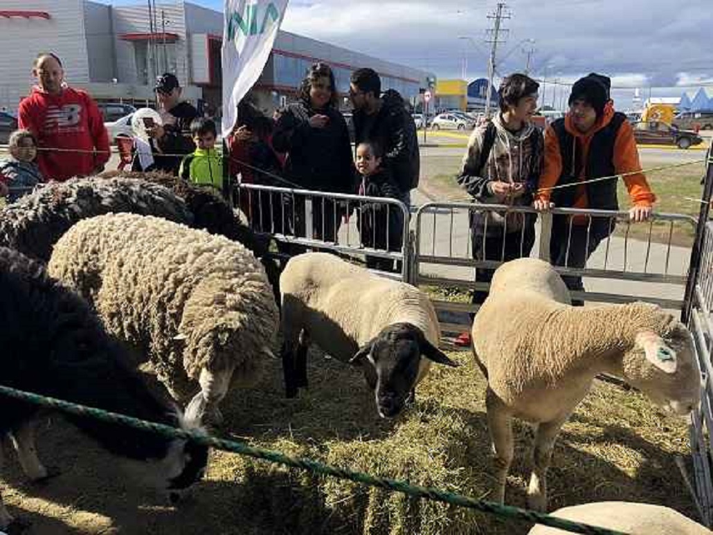 INIA Kampenaike cumplió 49 años de trayectoria en favor de la investigación agropecuaria austral