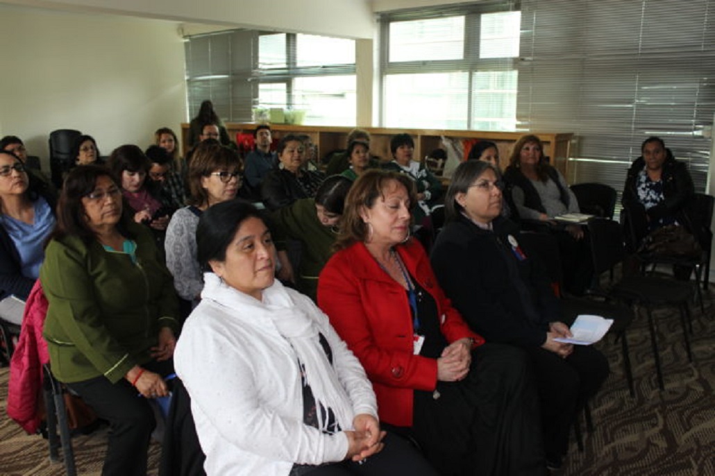 En Punta Arenas se reunió el Programa Especial Salud y Pueblos Indígenas