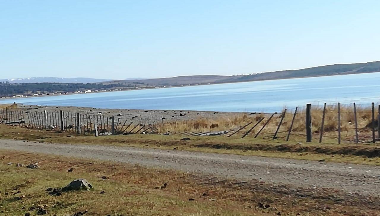 21 caballos robados desde recinto municipal de Punta Arenas