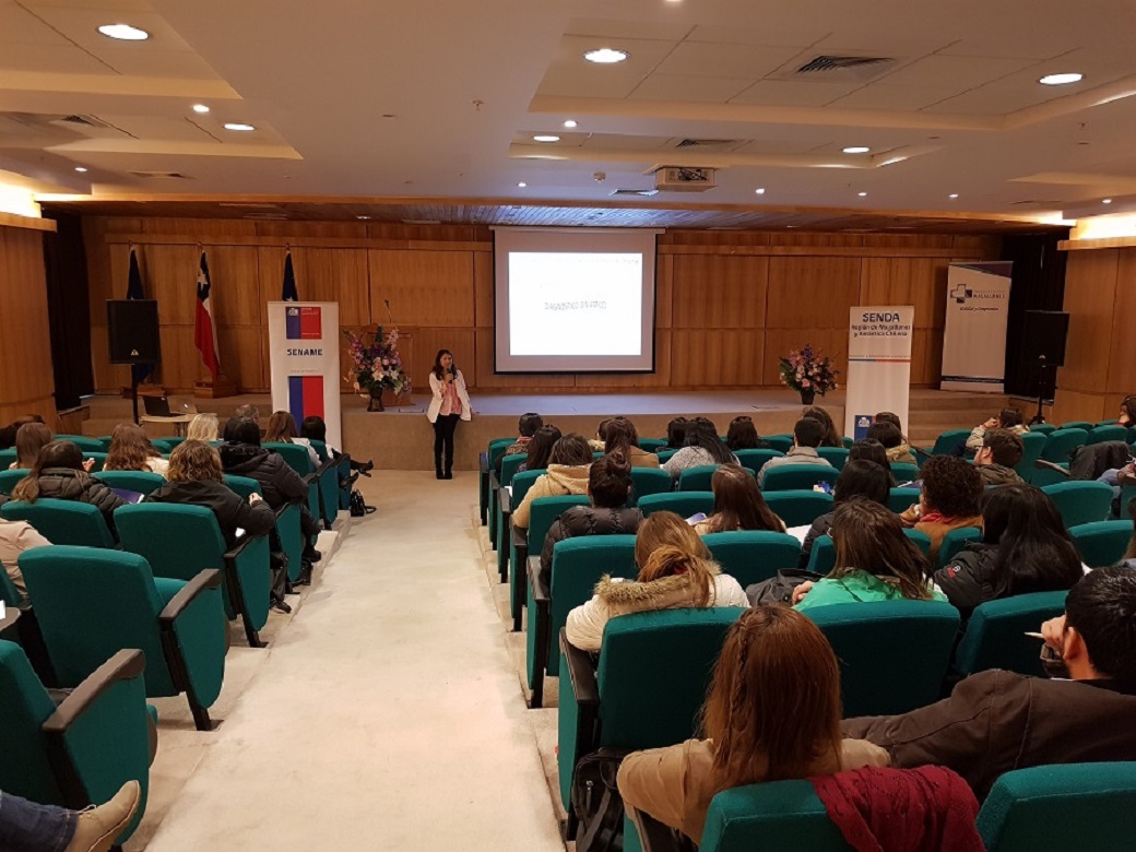 Realizan transferencia técnica entre el Sename Magallanes, Salud y Senda