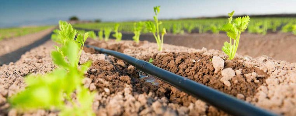 Seremi de Agricultura de Magallanes. «abierto llamado a concurso para obras de riego es un apoyo concreto a los agricultores de la región»