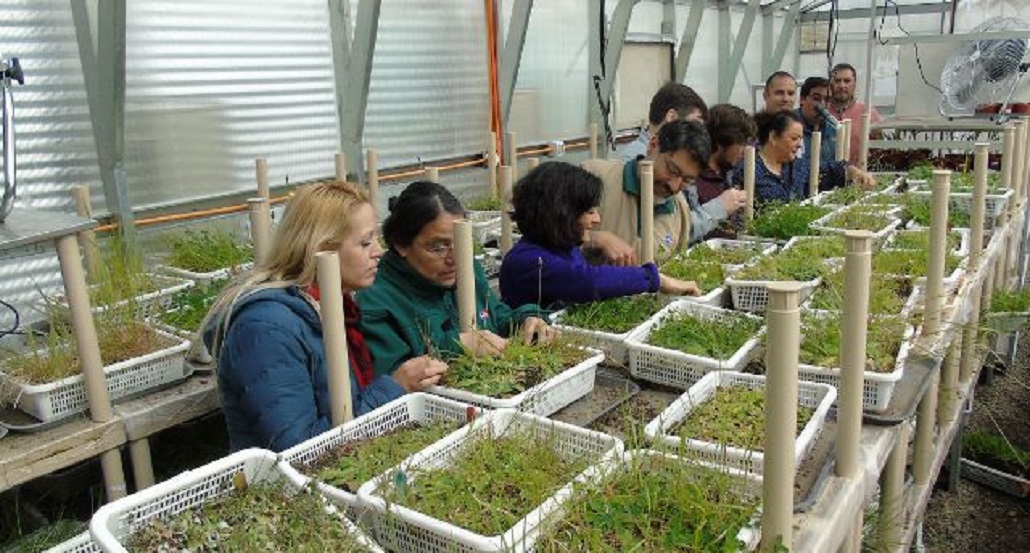 Funcionarios de SAG Magallanes se perfeccionaron en vigilancia de malezas