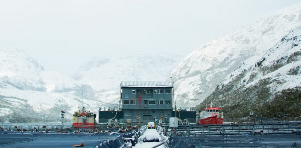 Industria salmonera ocupa un lugar cada vez más relevante en la economía magallánica