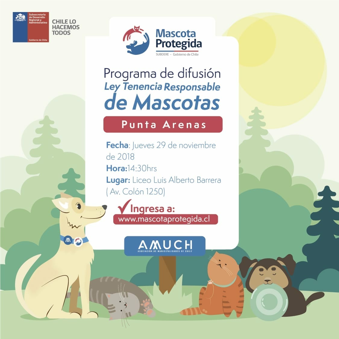 Hoy se realiza en Punta Arenas un Taller tenencia responsable de mascotas Ley N° 21020