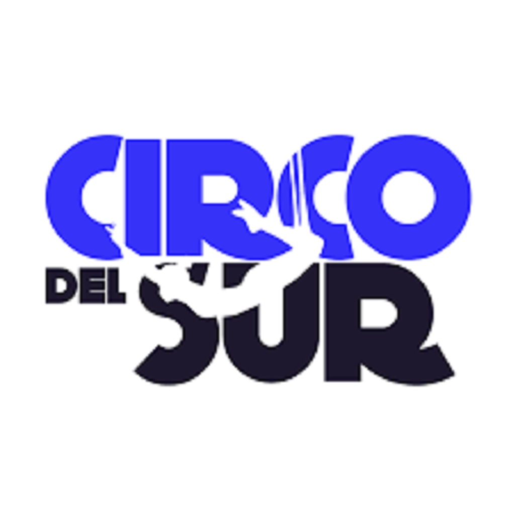 Denuncian robo de material circense en Punta Arenas