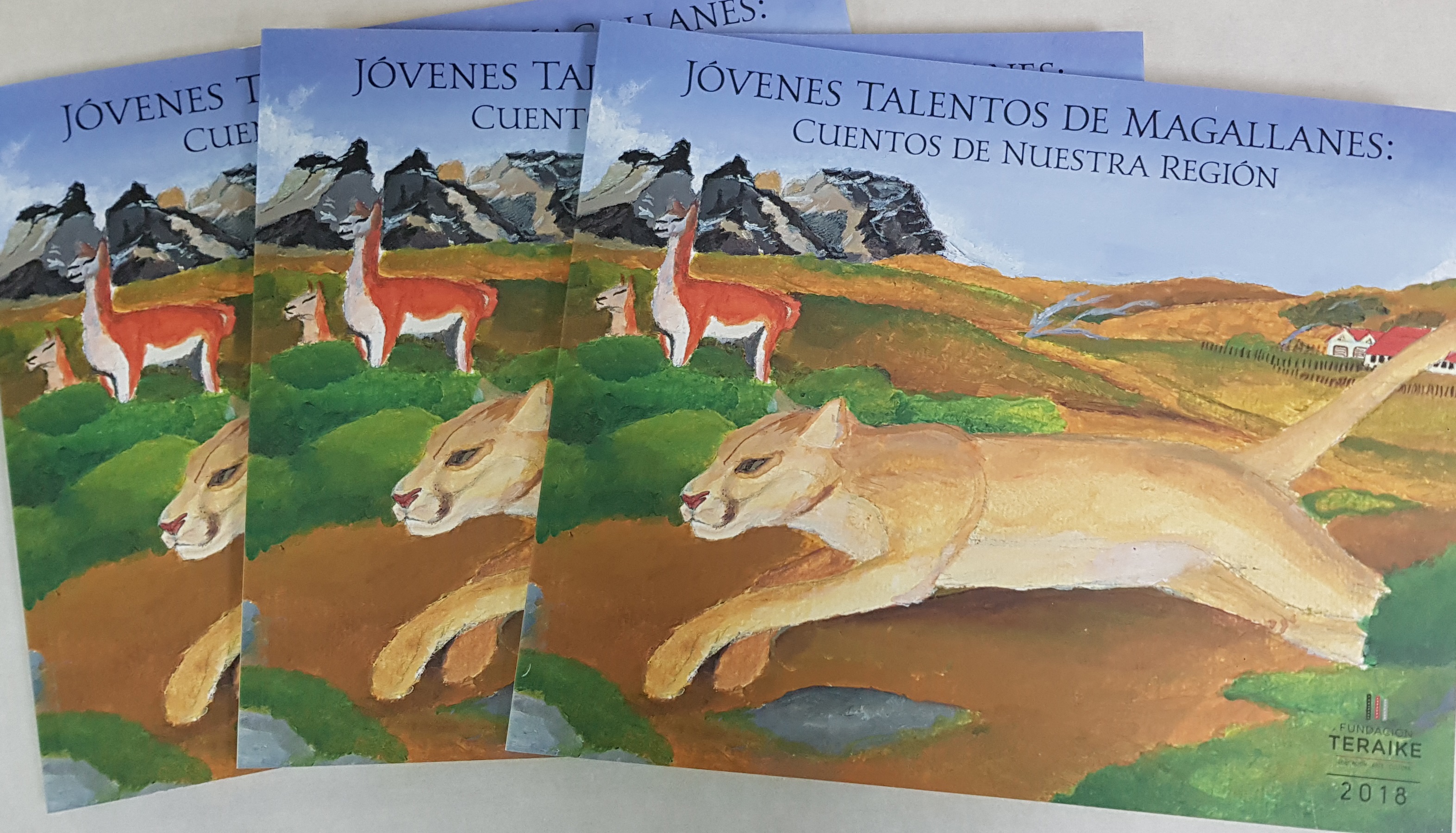 800 copias de “Cuentos de Nuestra Región” serán entregadas a establecimientos educacionales y bibliotecas de Magallanes.