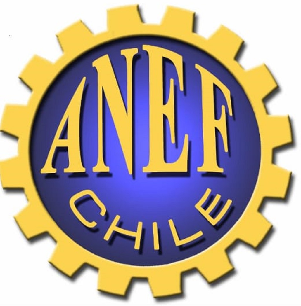 Comunicado de ANEF: proceso de renovación de contratas y honorarios de la región de Magallanes y Antártica chilena