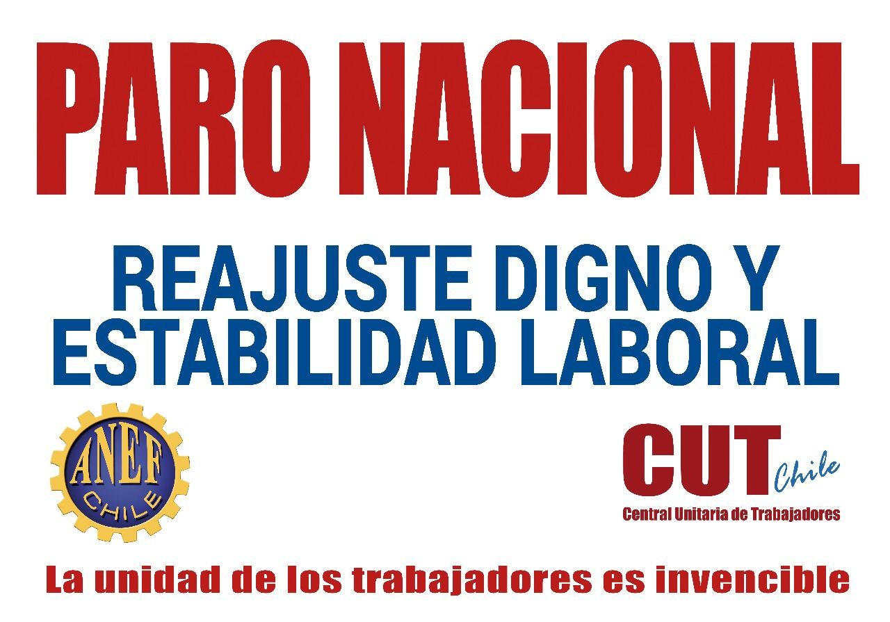 ANEF Magallanes difunde instructivo sobre el paro de actividades el lunes 26 de noviembre