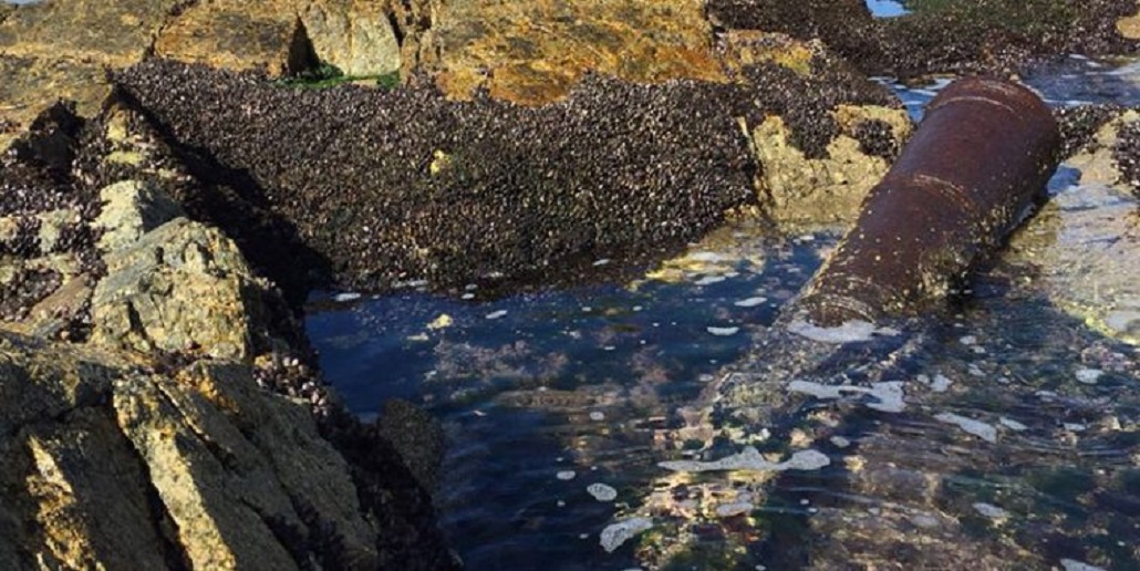 Importante hallazgo arqueológico en Caleta Tortel: descubren 3 piezas de artillería del siglo XVI