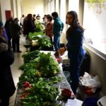 Martes 4 de diciembre, entre las 9 y las 13 hs: por primera vez tres consultorios abren sus puertas para venta de verduras y hortalizas recién cosechadas