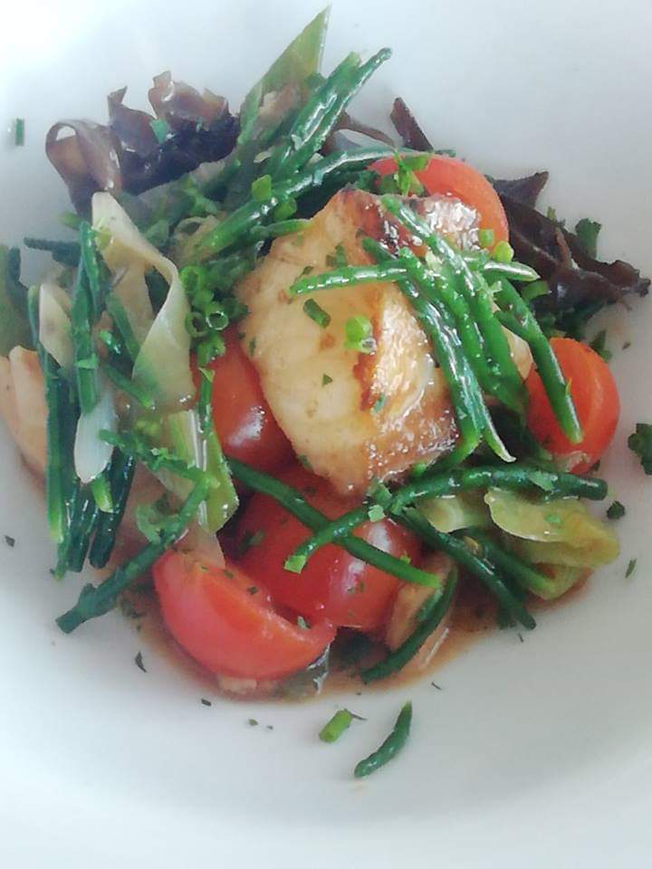 Innovación ante el cambio climático: Salicornia, un alimento gourmet desde la región de Los Lagos