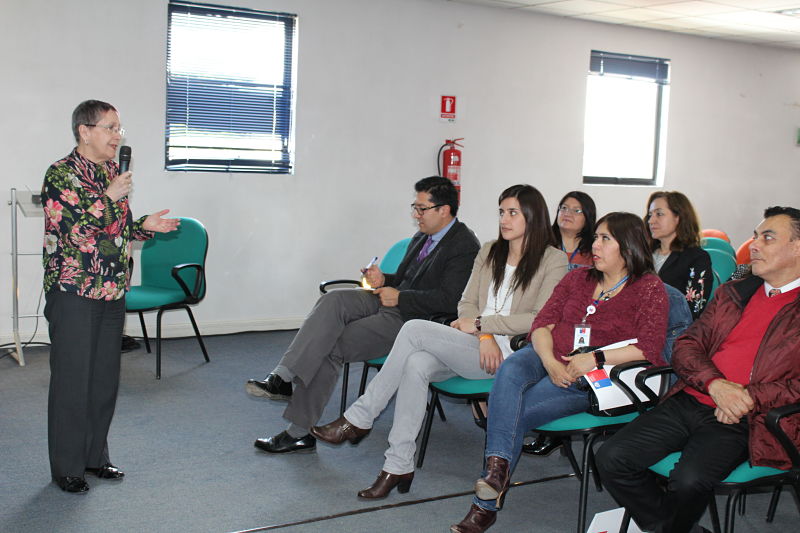 SENADIS y la Corporación de Asistencia Judicial realizaron seminario en Punta Arenas sobre el Derecho y la Discapacidad