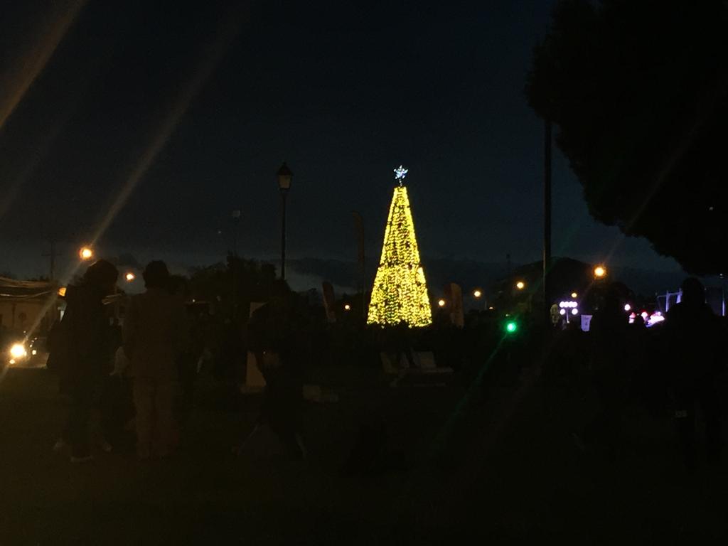 Más de 4.000 personas en el encendido del Arbol de Navidad con EDELMAG en Punta Arenas