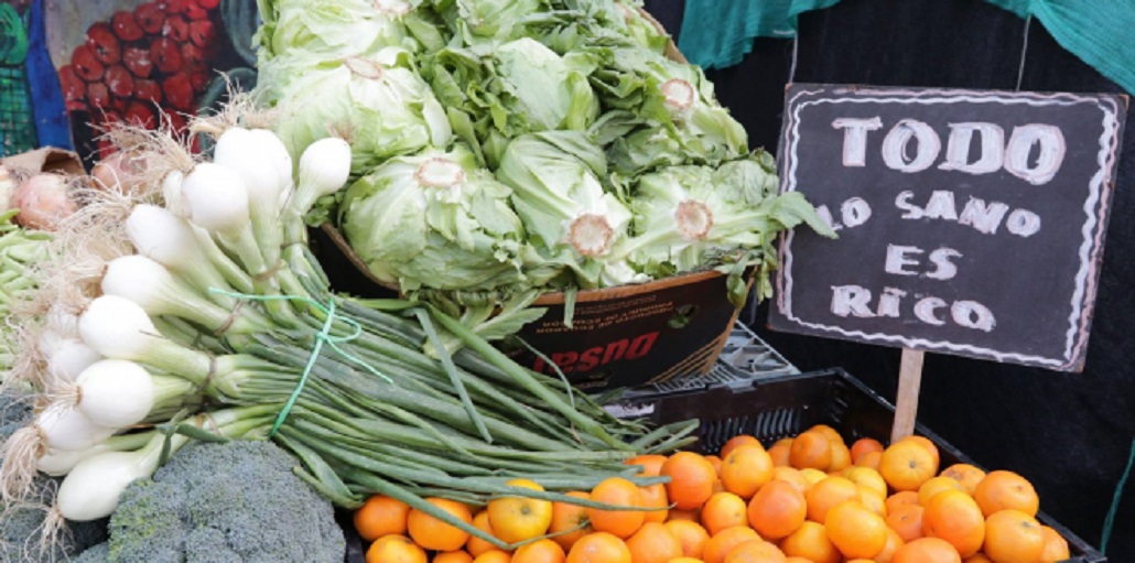 Comuna de San Gregorio se adjudica 15 millones del Fondo concursable Elige Vivir Sano