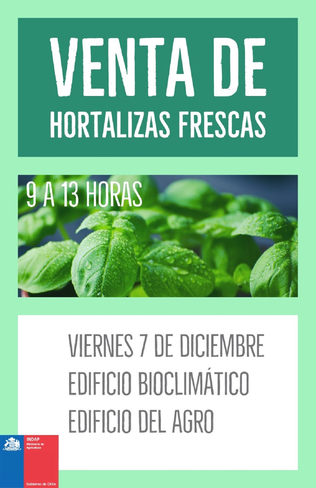 Nueva venta de hortalizas frescas en edificios públicos