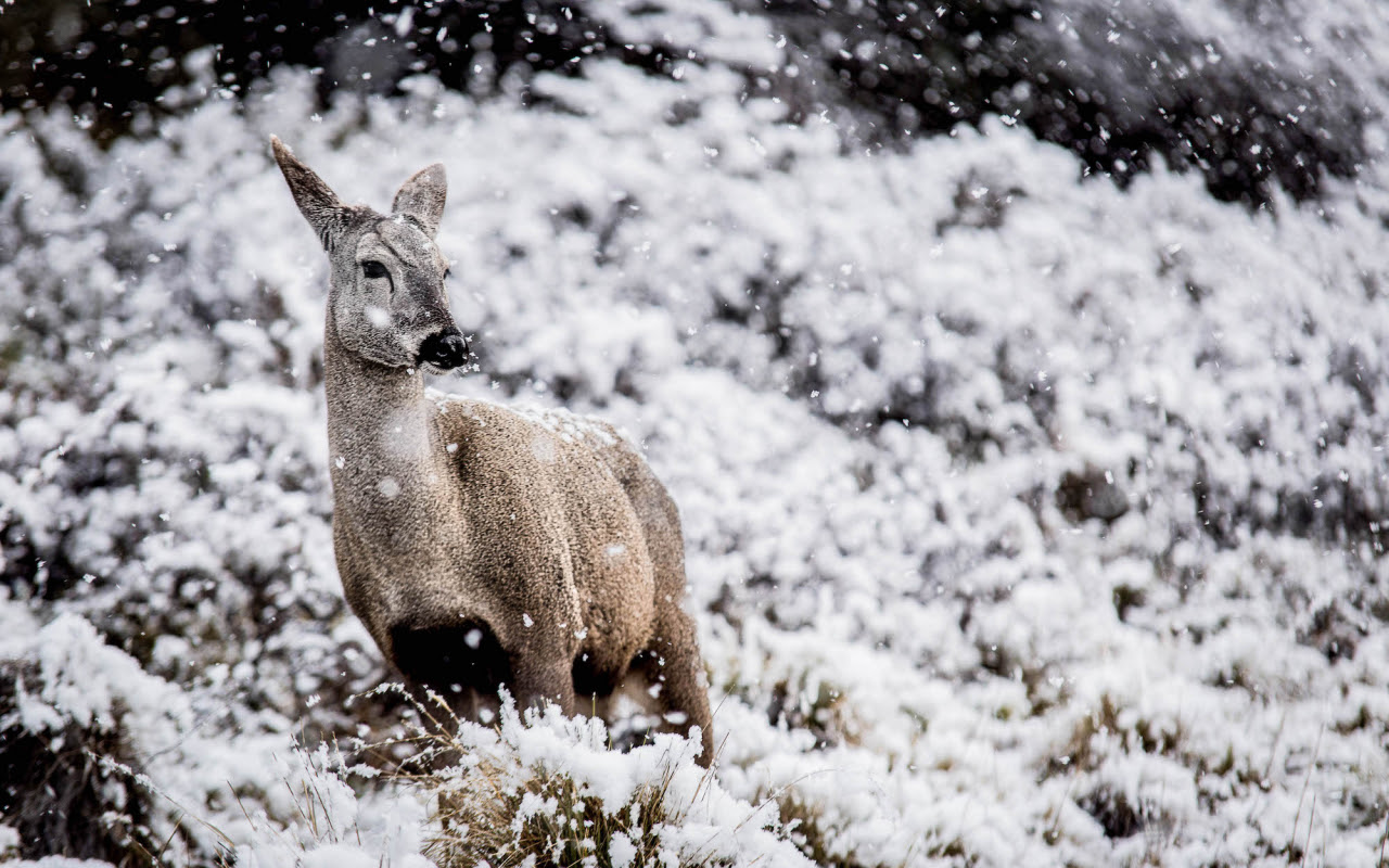 Los ganadores del 4º Concurso de Fotografía de la Patagonia